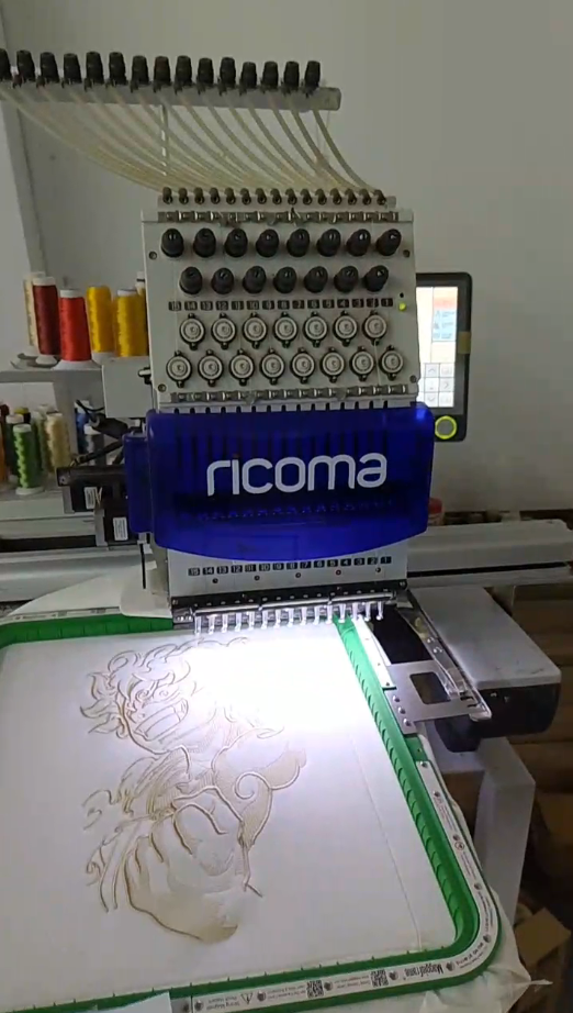 ricoma digitizing software